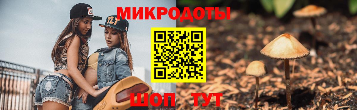 Хасавюрт  Галлюциногенные грибы GOLDEN TEACHER  Вход с VPN 