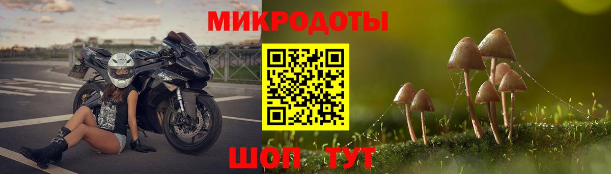 Псилоцибиновые грибы Magic Shrooms Хасавюрт